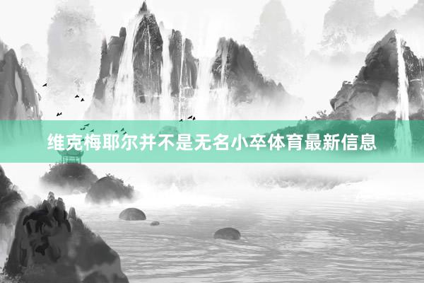 维克梅耶尔并不是无名小卒体育最新信息