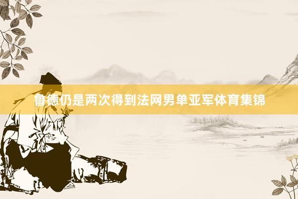 鲁德仍是两次得到法网男单亚军体育集锦