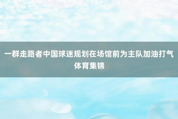 一群走路者中国球迷规划在场馆前为主队加油打气体育集锦