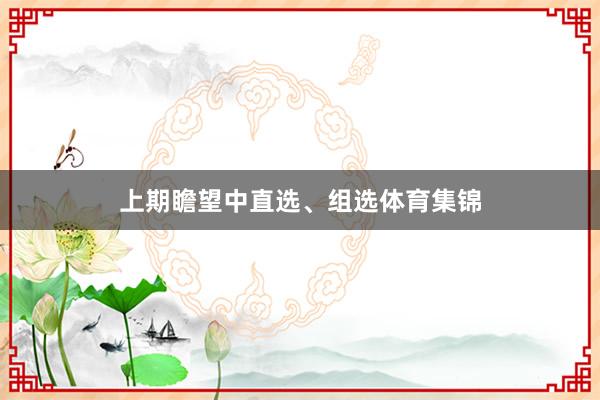 上期瞻望中直选、组选体育集锦
