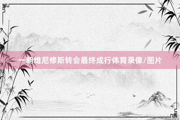 一朝维尼修斯转会最终成行体育录像/图片