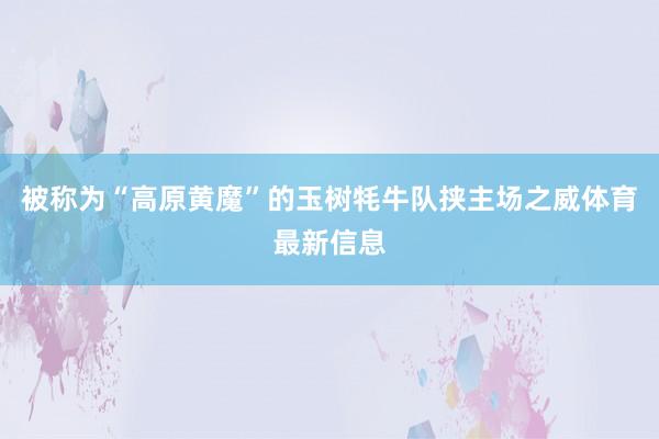 被称为“高原黄魔”的玉树牦牛队挟主场之威体育最新信息