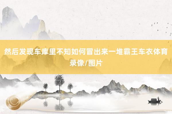 然后发现车库里不知如何冒出来一堆霸王车衣体育录像/图片
