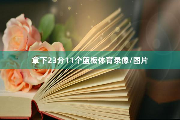 拿下23分11个篮板体育录像/图片