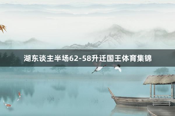 湖东谈主半场62-58升迁国王体育集锦