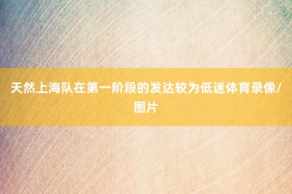 天然上海队在第一阶段的发达较为低迷体育录像/图片
