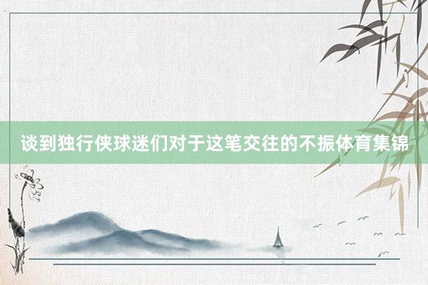 谈到独行侠球迷们对于这笔交往的不振体育集锦