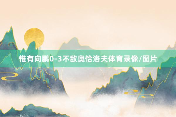 惟有向鹏0-3不敌奥恰洛夫体育录像/图片