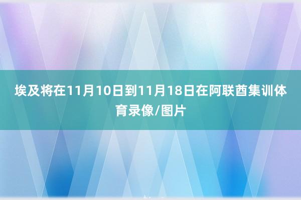埃及将在11月10日到11月18日在阿联酋集训体育录像/图片