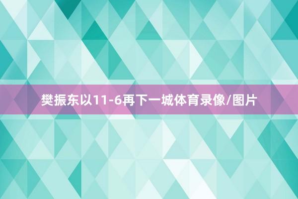樊振东以11-6再下一城体育录像/图片