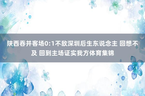 陕西吞并客场0:1不敌深圳后生东说念主 回想不及 回到主场证实我方体育集锦
