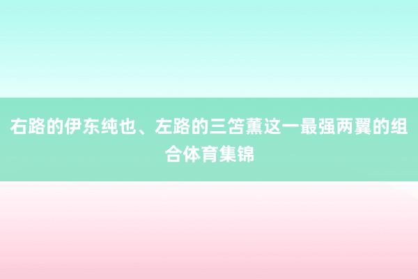 右路的伊东纯也、左路的三笘薫这一最强两翼的组合体育集锦