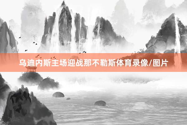 乌迪内斯主场迎战那不勒斯体育录像/图片