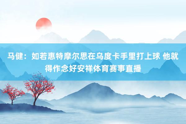 马健：如若惠特摩尔思在乌度卡手里打上球 他就得作念好安祥体育赛事直播